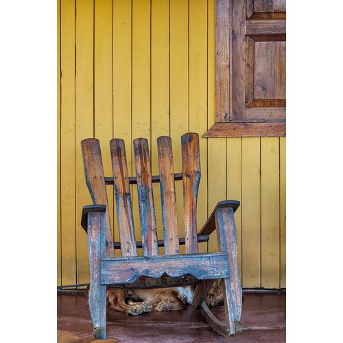 A dog sleeps under a weathered Adirondack rocking chair in Vinales-Cuba,